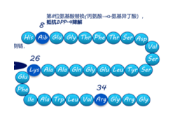 С��ҩ���ɸѡ��ϳ�