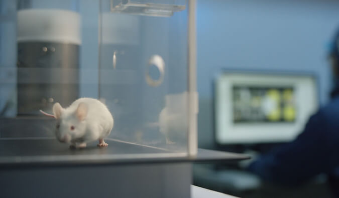 ����÷���������������RNA����ø��С������ҩ��FDA�ٴ�ʵ��������IND)