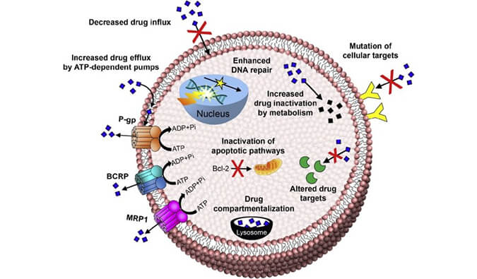 ����| ��ҩģ�ӵĿ���˼���빹������