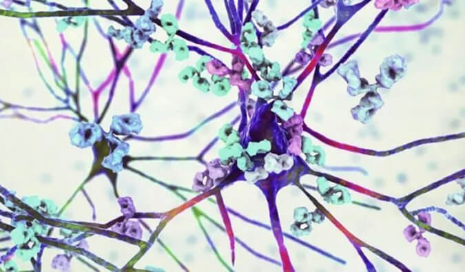 ����÷��ʹҩЧ����ģ��