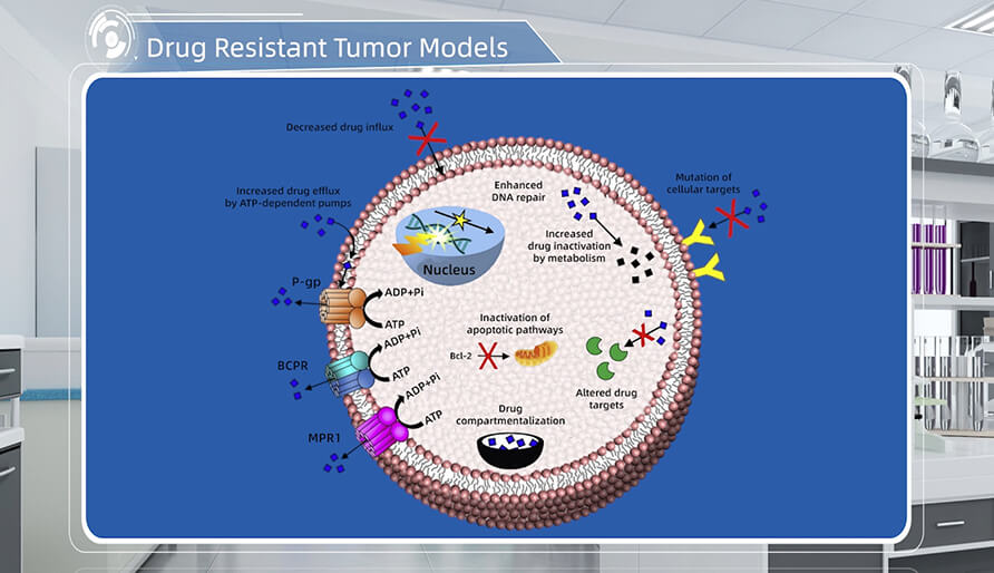 ������ҩ������ʲô����������