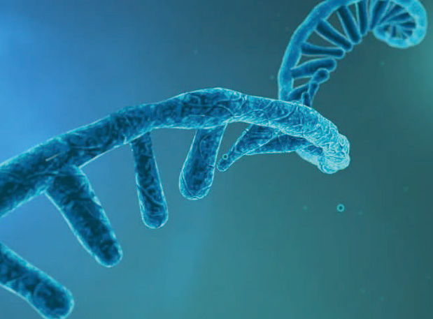 Ӳ���ˡ��������������´��벩ʿ�����й�ҩѧ�����ҩ��רҵίԱ�Ὠ����