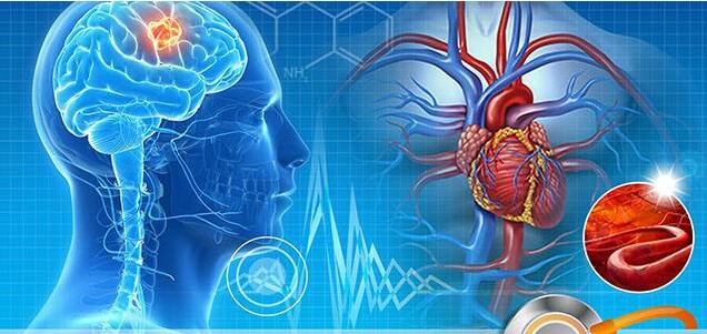 ����Ѫ�ܿ����� | ��Ѫ��ҩ����ǧ���г��е���ս���Ե