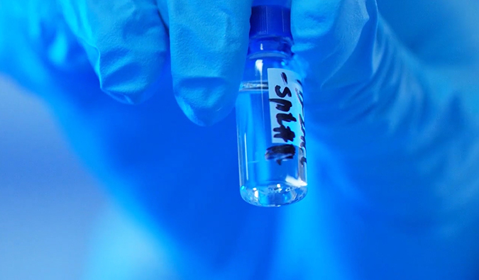 GLP-1�������������Զ������������