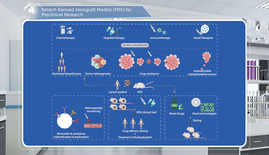 ʲô���ٴ�ǰ�о���PDX����Դ����������ֲ��ģ�ӣ�����������