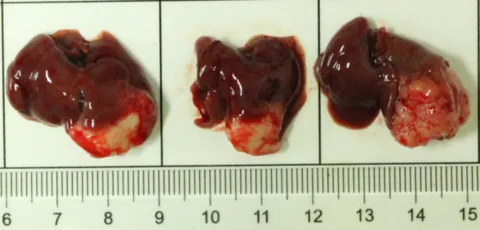 1 ԭλ�ΰ� PDXM-212Li -1.jpg