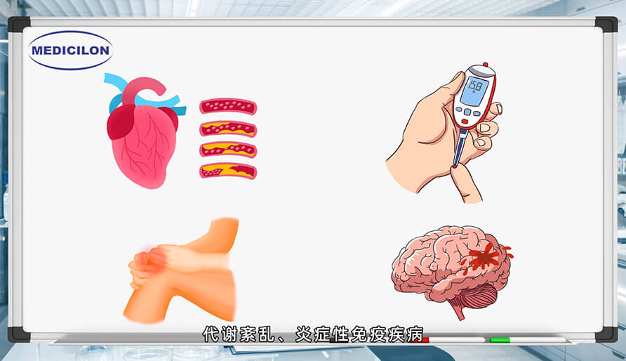 ����ģ����ҩ���з��е�����