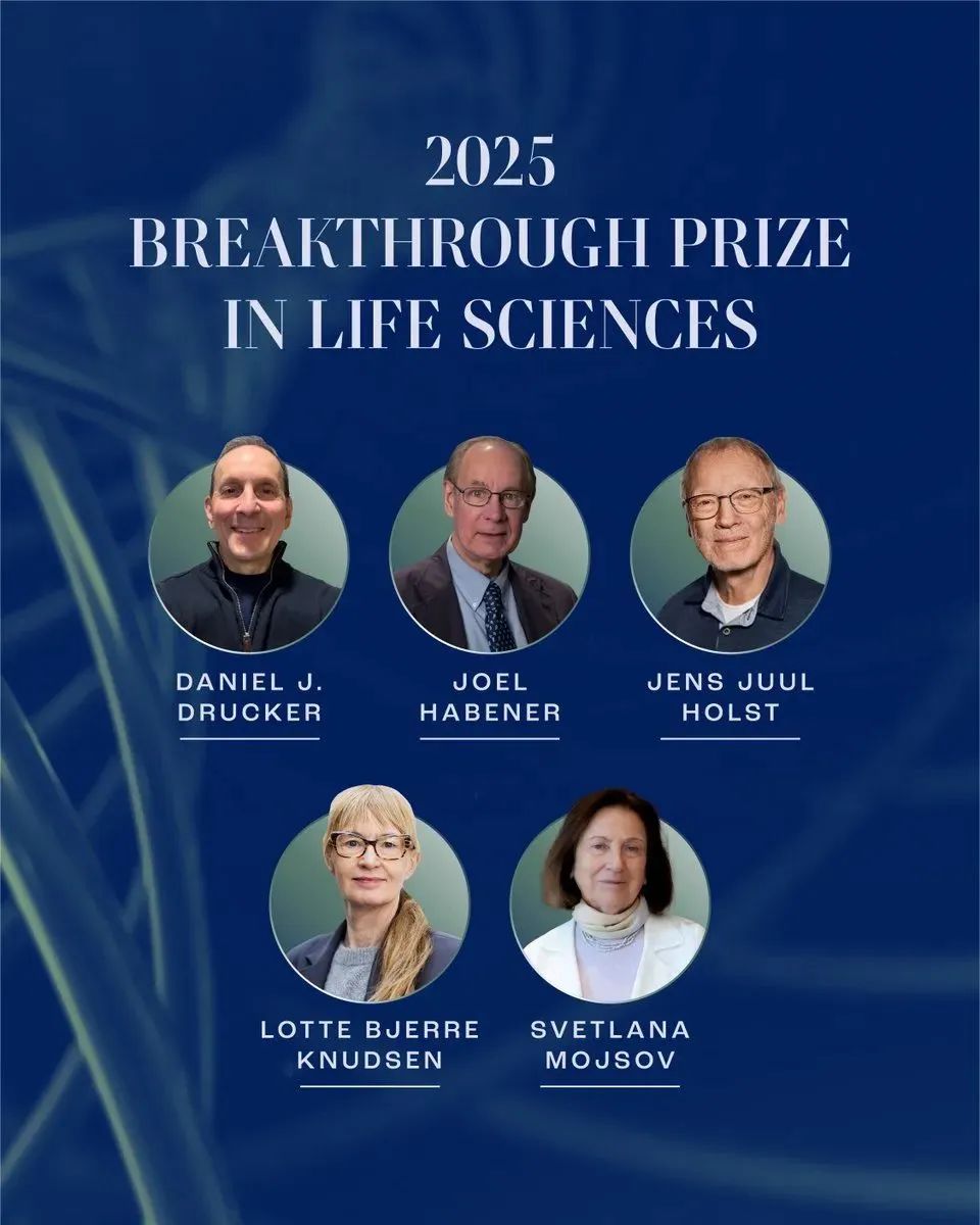 GLP-1��������л�������Ƶĸ�����ͻ��