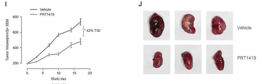 MCL1���Ƽ��ڶ���ʵ������ѪҺ����ģ������ʾ������Ч�����������������о���ҩЧʵ��ͨ������÷����
