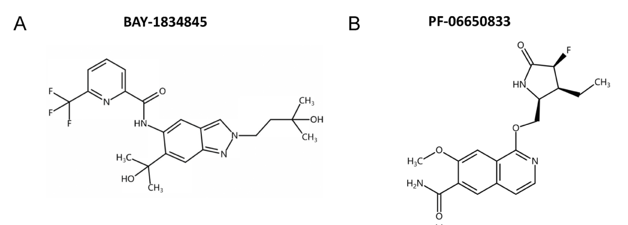 �ڷ�IRAK4���Ƽ���Ԥ�����Ժ����׾��ۺ������������������о������Ƽ�ͨ������÷�ϳ�