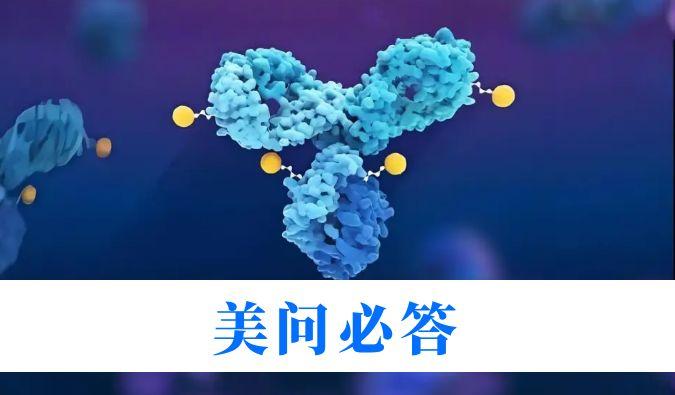 ADCҩ���з��ж�������ѧҪ����������