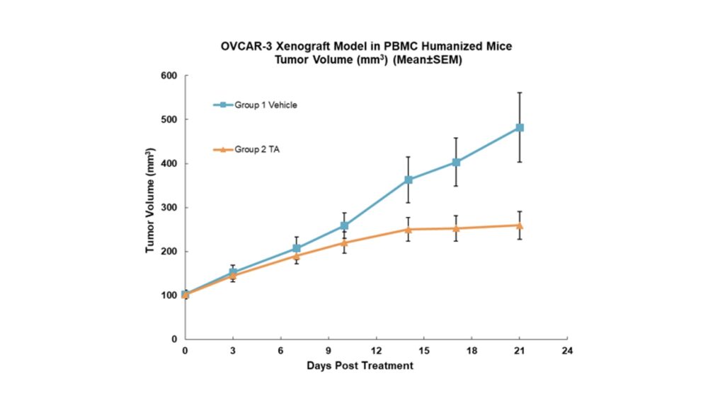 Tϸ������������ȫ�� ʵ�����е�����.jpeg