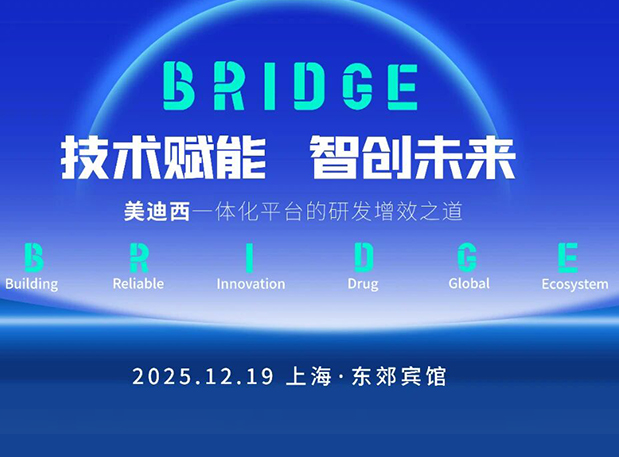 BRIDGE | ����÷�����������������Ǵ�δ����Ѳ�����л�